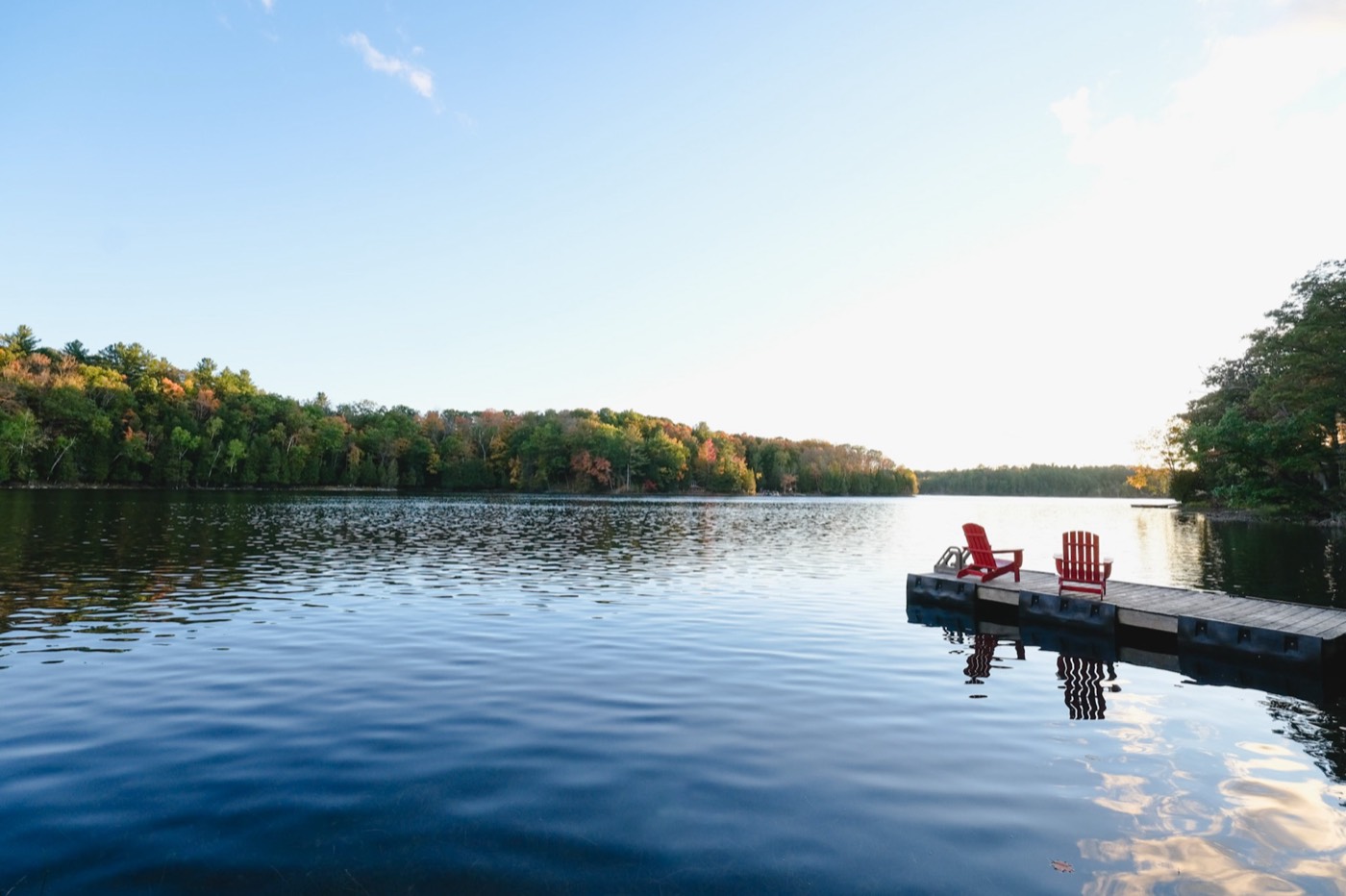 The Frontenac evening glow through the trees